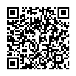 忽然抬手一道绿气释出瞬间射入江帆分身的眉心二维码生成