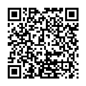 忽然握在秋竹怀中的小东西朝着一个方向吱吱的叫唤着二维码生成