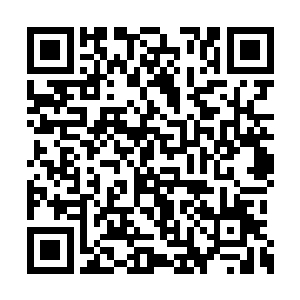 忽然有十几只拨金鼠出现在了铃铛和林烽的周围二维码生成