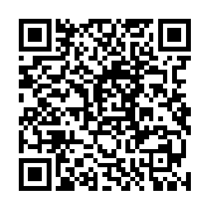 忽然杨戬感应到血刃山寨的几个人竟然开始悄悄的撤退了二维码生成