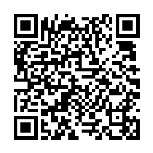 忽然杨戬的内天地里面骤然间发出一道浩瀚的气息二维码生成