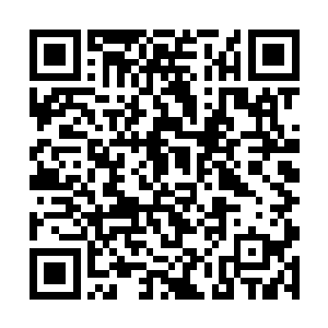 忽然没一声恐怖的第七十一章五行麒麟vs异兽奎牛二维码生成