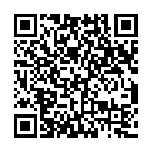 忽然油腻腻的小手指指着她白皙的颈项上那星星点点的吻痕二维码生成