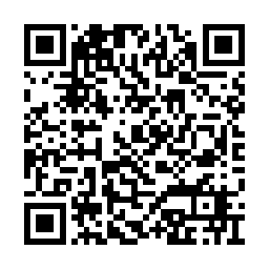 忽然看到之前和苏墨尘一起去超市时买的那本书二维码生成