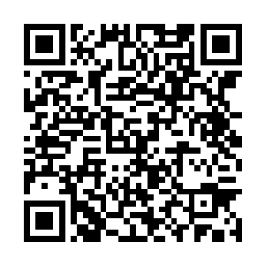 忽然见一辆黑色商务车缓缓的从学校外面向内驶入二维码生成