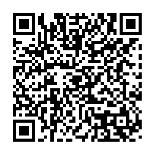 忽然见到了一团发出了灰色光芒的记忆碎片在识海的边缘载浮载沉着二维码生成