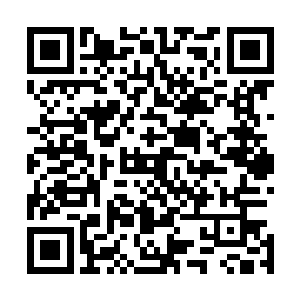 忽然觉得这话好像该是佛修才说的――这就是被净化的后果二维码生成