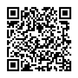 忽然身旁的混沌神兽猛然瘦小的身体暴涨很七八米巨大二维码生成