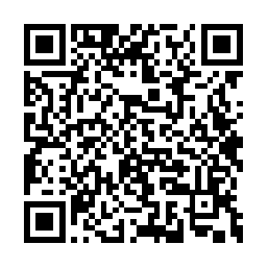忽然那双布满血丝的眼睛里闪过一抹惊艳的亮光二维码生成