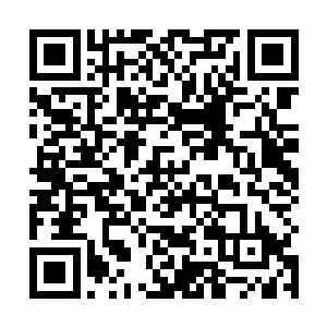 忽然那只已经远遁的捕猎魔不知道什么时候悄悄靠近了二维码生成