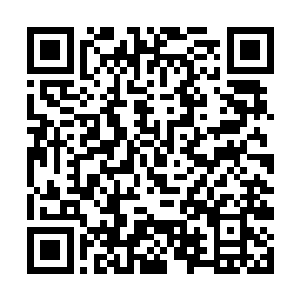 忽然间原本静立在一边的幽冥狼王嘴里发出一声怒吼二维码生成
