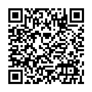 忽然龙傲天想到了郑娇娇身上那诡异的绝阴之体二维码生成