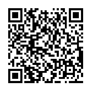 怀中的圆胖就被安齐远捏着后颈的皮丢到了虎先生旁边二维码生成