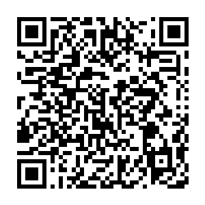 怀中的小白虎趴在剑尘的胸前伸出舌头津津有味的舔着剑尘身上的鲜血二维码生成