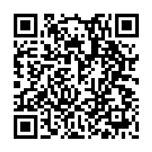 怀疑苗毅可能真的是看她外公的面子手下留情了二维码生成