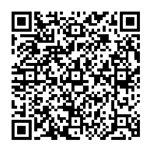 怀远堂下属的一个将近有10万人的一个工程队浩浩荡荡的开始开到张铁家里所买的那块地盘上二维码生成