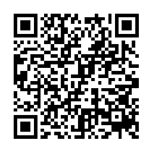 怀远堂这次出了一个二十多岁的骑士和家族长老二维码生成