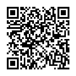 怀里那双乌溜溜的小眼睛从刚刚开始就一直瞪着他二维码生成