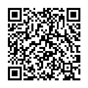 态度严肃的训斥着喝完药的勇士们要好好听凌菲的话二维码生成