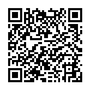 怎么一下子就戳穿了我为此次当铺一行所打的幌子二维码生成