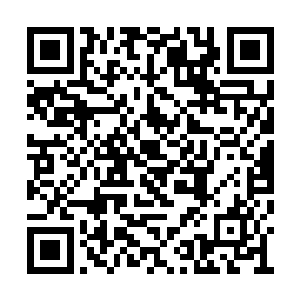 怎么三种神兽会诞生出四种不同的神级本源之火二维码生成