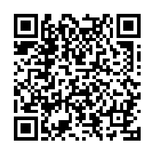 怎么不说老子为了你平白无故摊上了刘松涛的一剑二维码生成