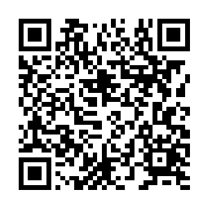 怎么也想不到这个救人无数的神医会突然出手杀人二维码生成