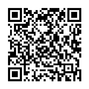 怎么也没料到还没等离开凶兽禁地却遇到了这种可怕变故二维码生成