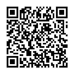怎么也没有想到在这里看到如此微小的一个修士二维码生成