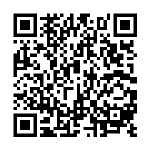 怎么他们先前不知道五院里面还有如此强大的家伙二维码生成