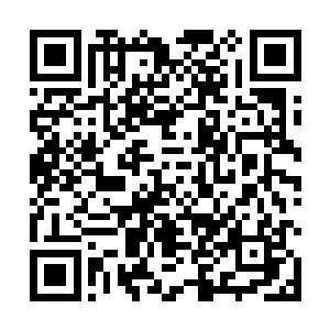 怎么他的每个敌人在第一次见到自己的时候都会这么问二维码生成
