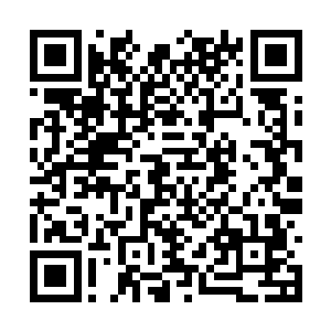 怎么会……屏幕里的怎么会是他呢……这不应当啊二维码生成
