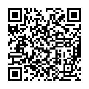 怎么会……我就知道哥哥你不会无缘无故放我鸽子的嘛二维码生成