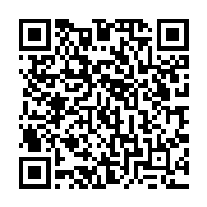 怎么会不知道这只人面巨鸟就是鸟雀甚至是连同兽类的王者二维码生成