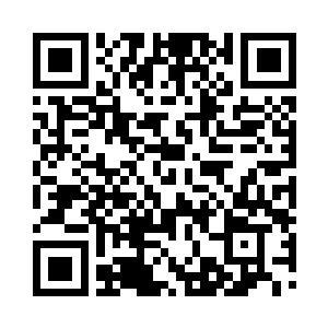 怎么会出现白蚁群这种损害量超大的群体二维码生成