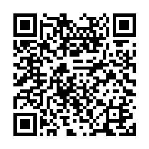 怎么会只有一片虚浮的陆地蕴含灵气而不见灵脉呢二维码生成