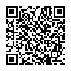 怎么会让你们跟着一个不知道天高地厚的小女孩瞎折腾二维码生成