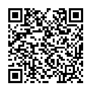 怎么会轻易给袁沐影这之前是敌人的新人好颜色看二维码生成