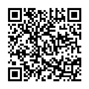 怎么你们一琢磨就琢磨到我斯文败类衣冠禽兽方面去了二维码生成