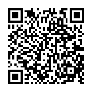 怎么允许别人再来抢自家妹妹那最后一枚免死金牌二维码生成