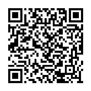 怎么八位镇域界主都被神迹世界里的力量打飞了二维码生成