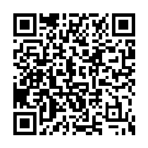 怎么到了这种危急的关头就想到我这个族长了呢二维码生成