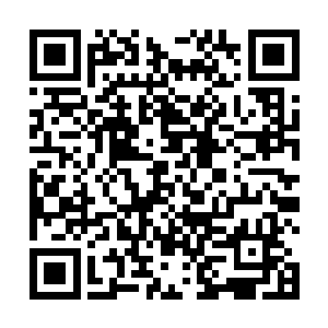 怎么又这么危险的跑到这市委家属小区来拿什么账本啊二维码生成