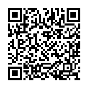 怎么可以那么快就交给你一个私人公司承包经营二维码生成