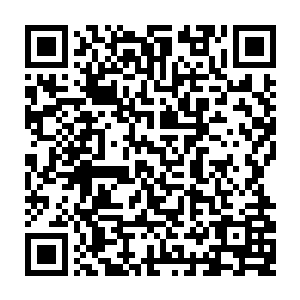 怎么可能……刚才那是什么东西……好大一双翅膀……那姓孟的小子怎么会这样二维码生成
