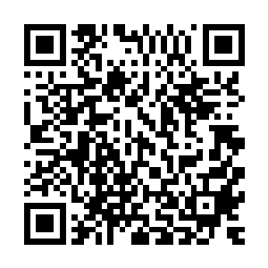 怎么可能一直把持着事关海神国前途未来的最重要的位置的呢二维码生成