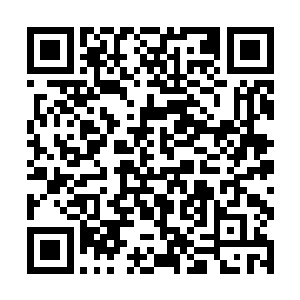 怎么可能任由李家的强者和教廷的强者在这里厮杀呢二维码生成