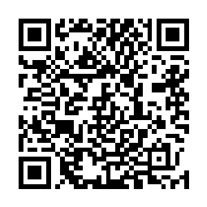怎么可能会让他在家族企业里挪出这么大一笔资金救他儿子二维码生成