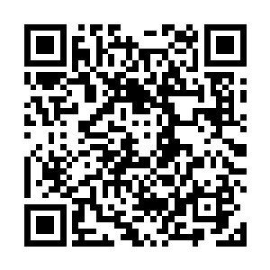 怎么可能凭着仙根跟融灵度的基本就能修炼到这个境界二维码生成