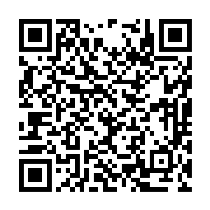 怎么可能对我们国家的政治体制会有深入的了解呢二维码生成